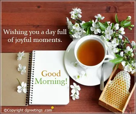 28 february 2017 good morning 早上好!