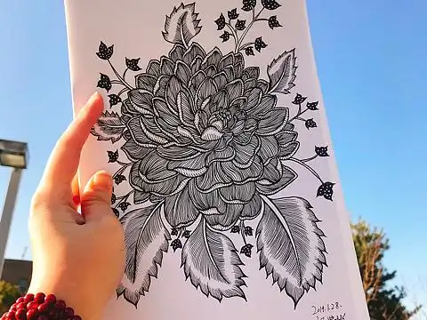 线描,黑白_素材网站_图片免费下载-zcool站酷