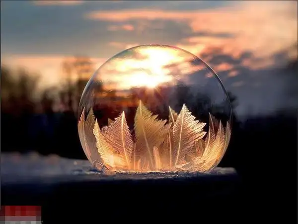 镜头中的冰冻肥皂泡 梦幻如魔法水晶球来自美国宾夕法尼亚的女摄影师