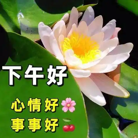 下午好图片大全,下午好祝福图片,下午好问候语,快乐每一天!