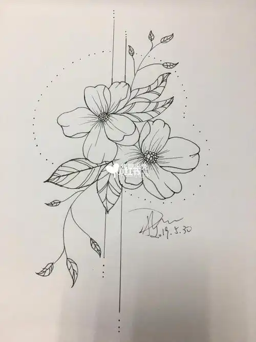 黑白画简笔画植物花 简笔画图片大全-蒲城教育文学网