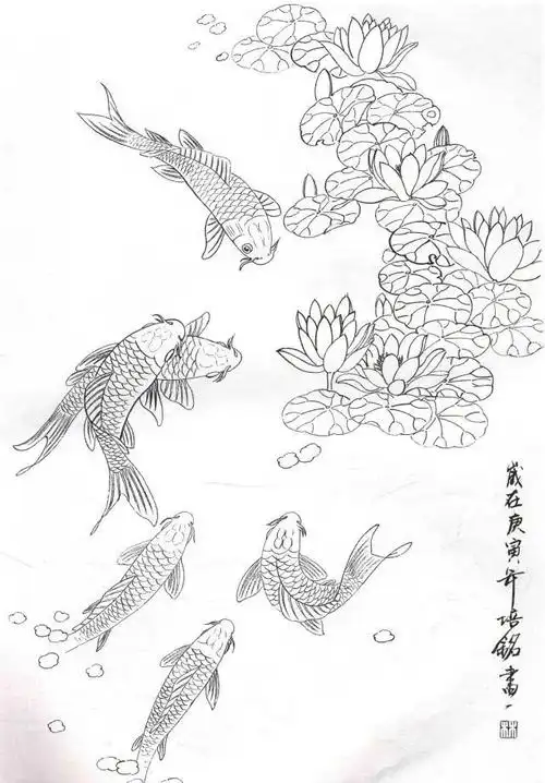 工笔锦鲤白描画稿