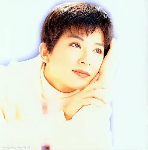 台湾流行歌坛知名女歌手 陈淑桦歌曲精选26首 原版原唱【经典欣赏】