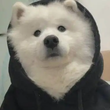 搞笑情侣头像搞怪逗比情侣头像qq头像