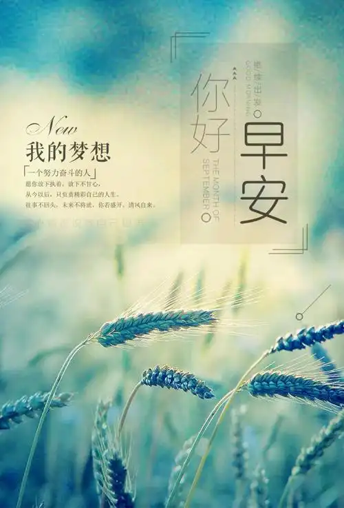 早安心语正能量励志短语励志早安图片带字唯美