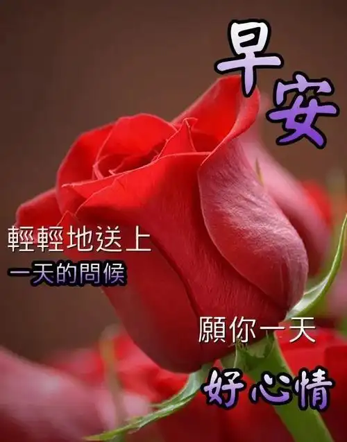 6月17日周四最新早上好问候动态表情图片暖心早上好图片表情祝福语录