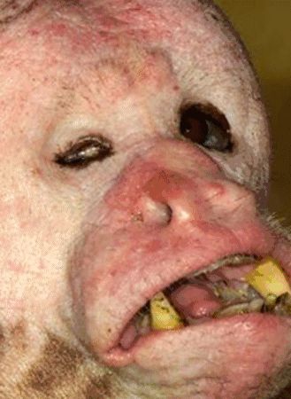 有些动物闭上嘴是"萌萌哒"小可爱,但一张开嘴就超吓人…_牙齿