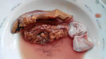 有图,上面的那块是鱼膏,以前都是扔掉的,现在听