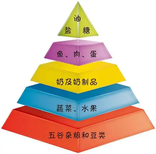 根据儿童饮食营养金字塔的原理:在金字塔的最底层是五谷杂粮和豆类,第