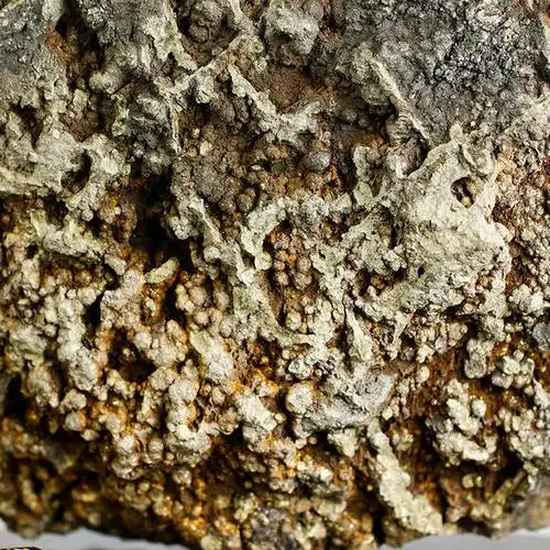 09-22 16:39 订阅 陨铜来自宇宙,太空的一枚铜质陨石,是地球以外脱离