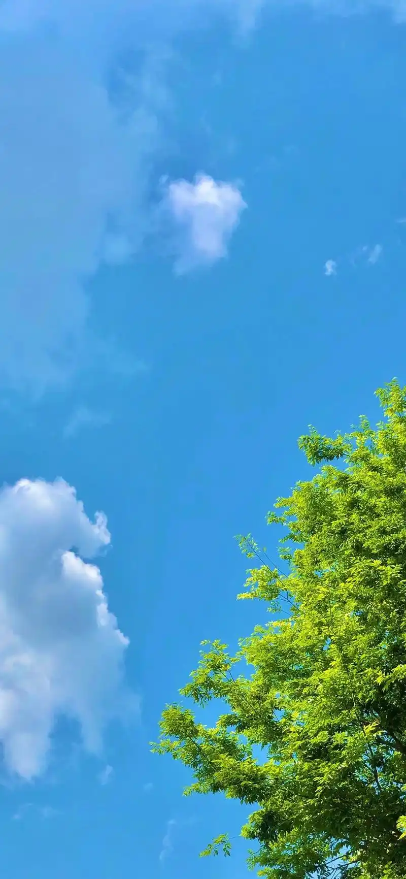 壁纸.#一起享受大自然的美 #治愈系风景 - 抖音