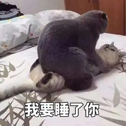 一波可爱的表情包