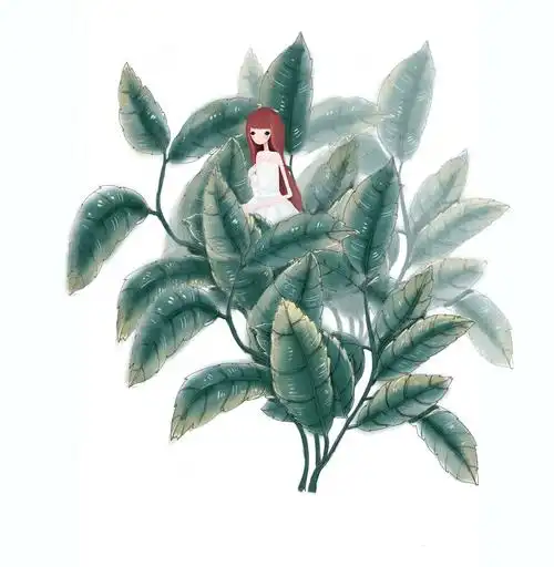 绿茶|插画|商业插画|小库hxm - 原创作品 - 站酷 (zcool)