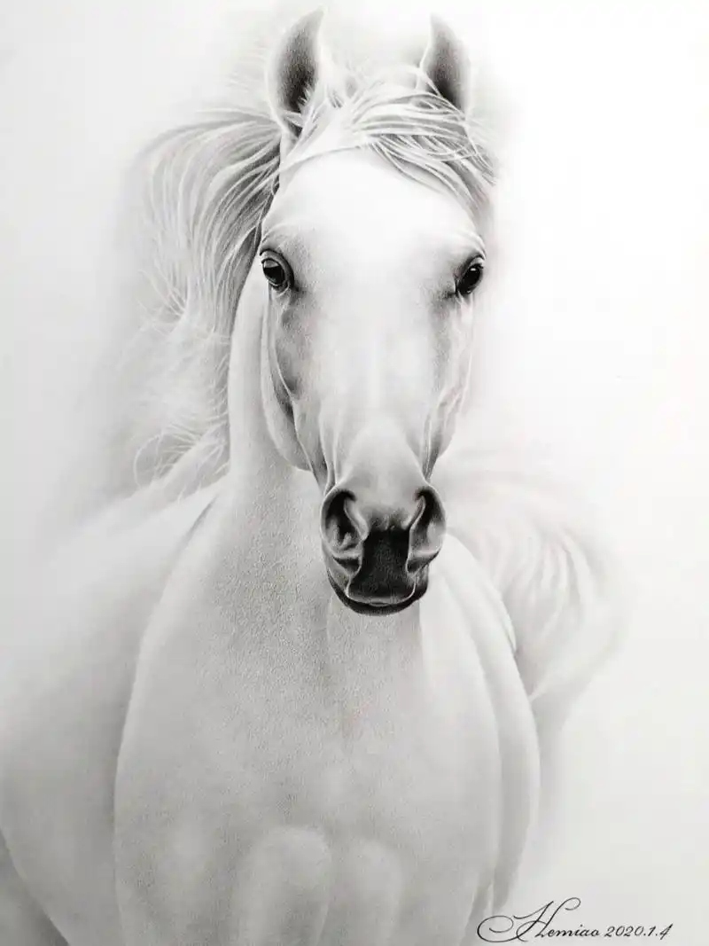 素描 《马》 炭笔 素描纸 炭笔 素描纸