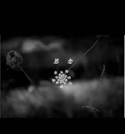 活着膝下难尽孝,唯用文字祭亲人! (下篇:祭亲人)