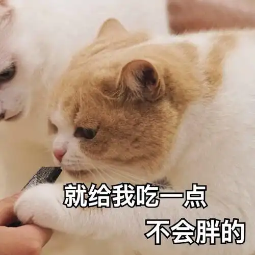 就给我吃一点,不会胖的(喵星人表情包)_喵星人_一点_不会表情