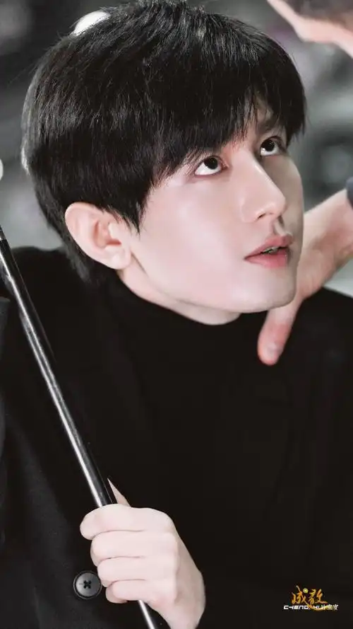 南风知我意##成毅傅云深