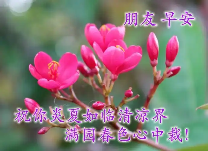 盛夏早安带字温馨图片 最新的早上好祝福语录送给大家