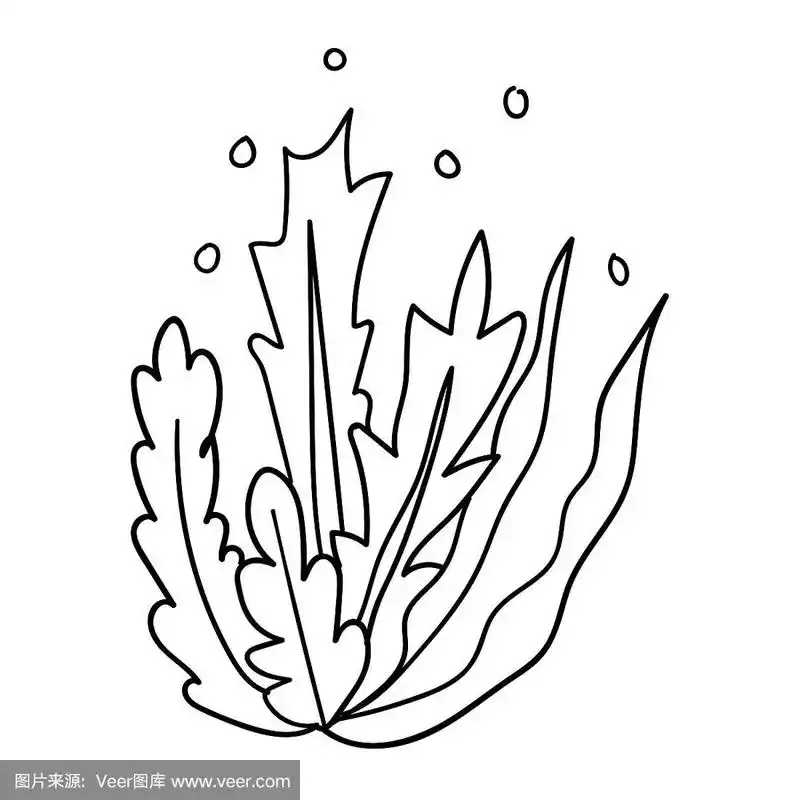水下,绘画插图,海草,矢量,乱画
