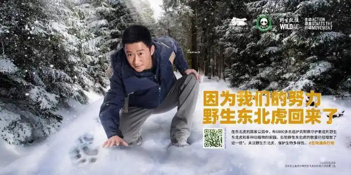保护野生东北虎宣传片发布公益大使吴京为巡护员代言
