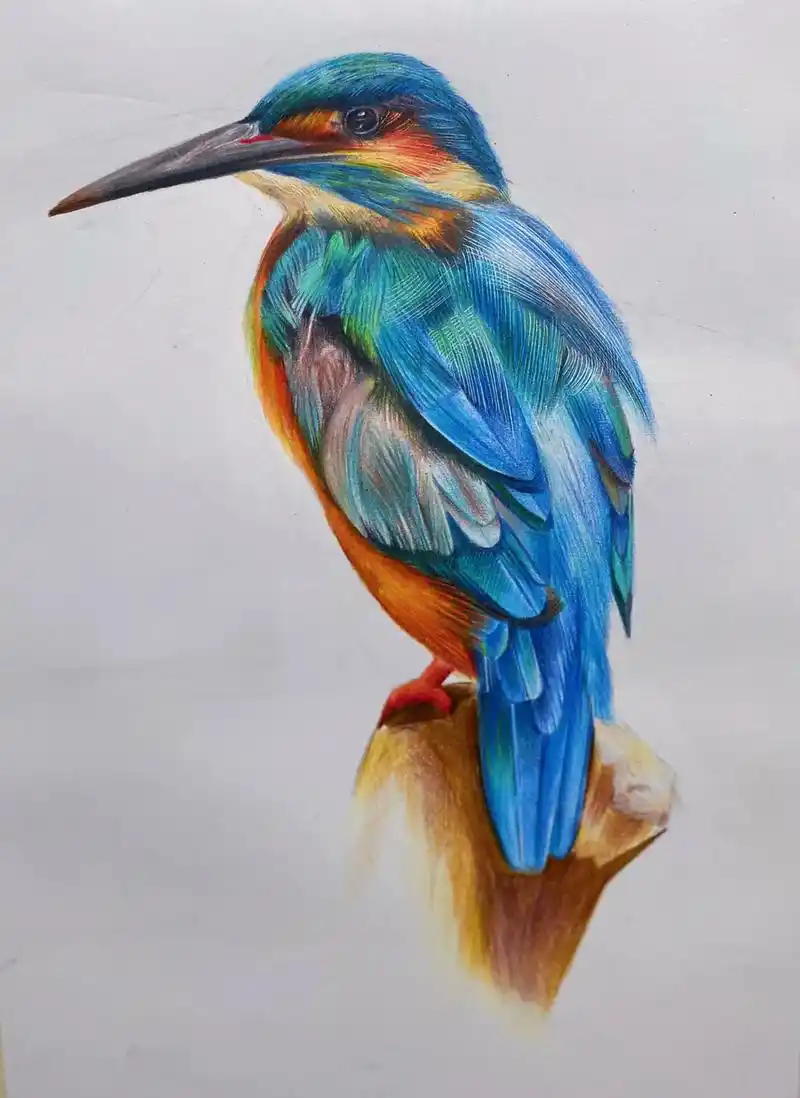 彩铅手绘 #彩铅 #彩铅教程 #手绘 - 抖音