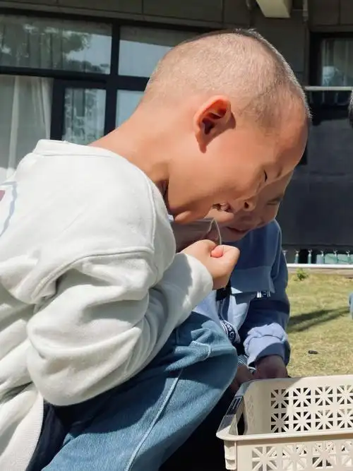 小鸡宝宝爱护动物不仅仅是书本上的教育