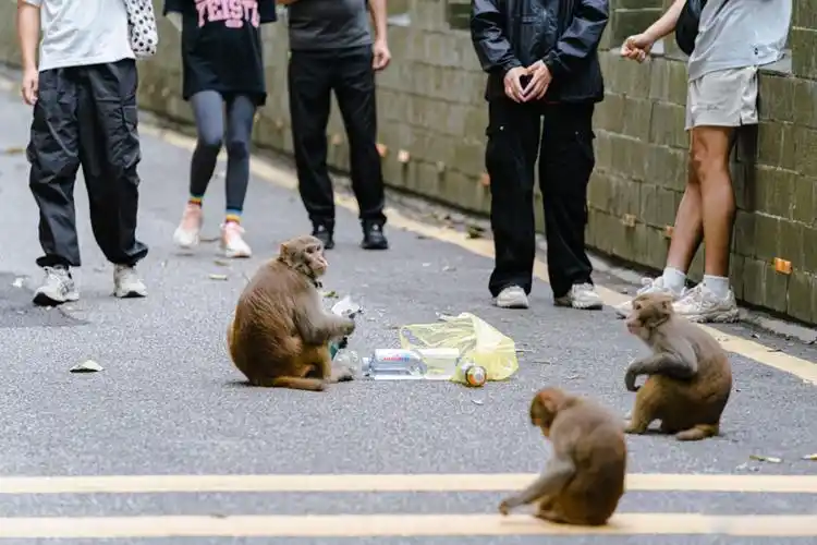 这条地铁线传来新进展!