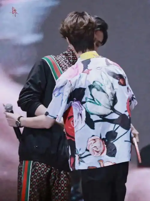 肖战王一博错位动图