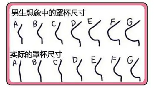 abcd那个罩杯更小 那个更大|胸罩|文胸|胸型_网易订阅