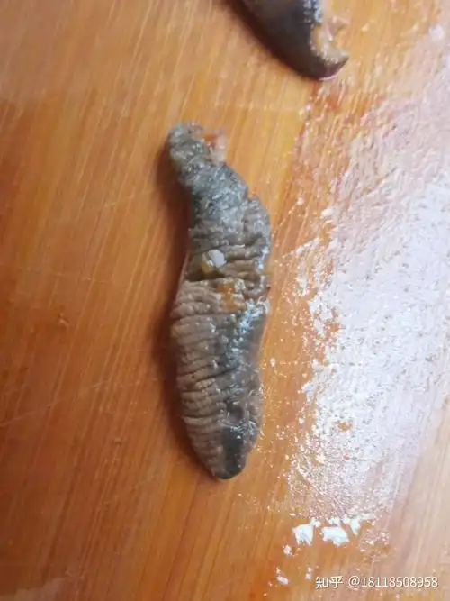 鱿鱼肚子里的这个到底是什么