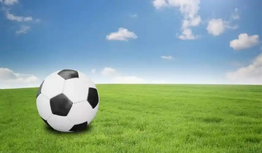 年7月7日(周日) 上午:10:00—11:30 活动地址:化州绿景国际花园抱抱熊