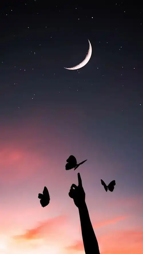 高清4k壁纸唯美意境壁纸