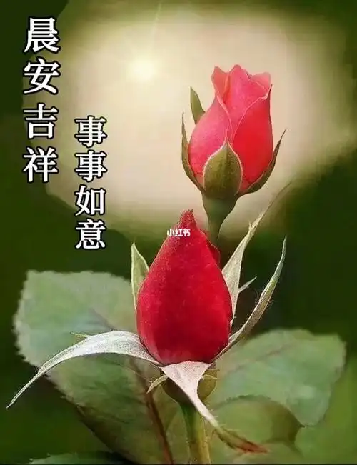 早安吉祥图片
