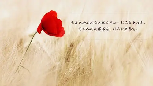 人生很无奈的伤感说说图片,高清图片,电脑桌面-壁纸族