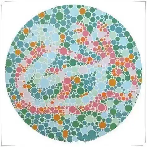 2024年车管所色盲测试图升级,看不出来的无缘考驾照