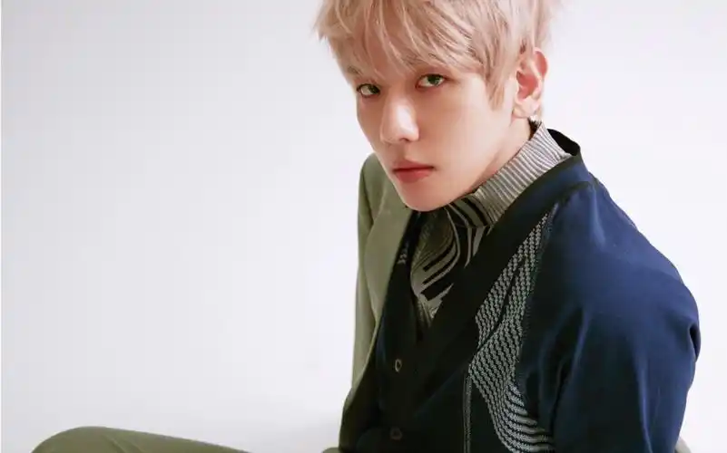 艺人cover【边伯贤】bambi 合集part 7