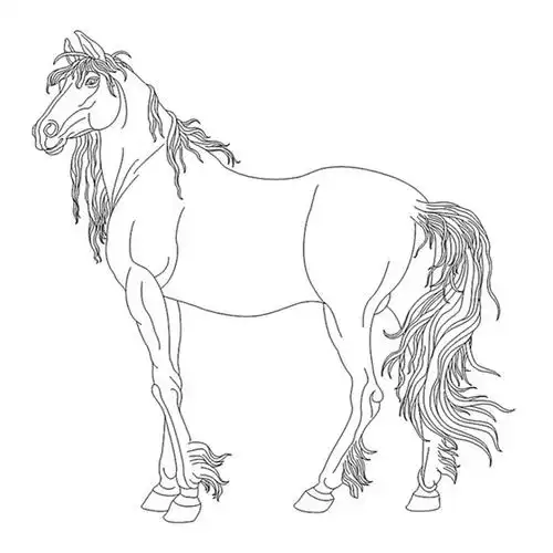 白描花鸟之乾马篇