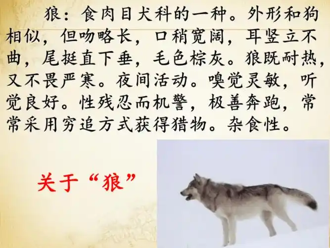 杯盘狼藉豺狼成性豺狼当道鬼哭狼嚎虎狼之势虎穴狼巢狼狈为奸狼吞虎咽