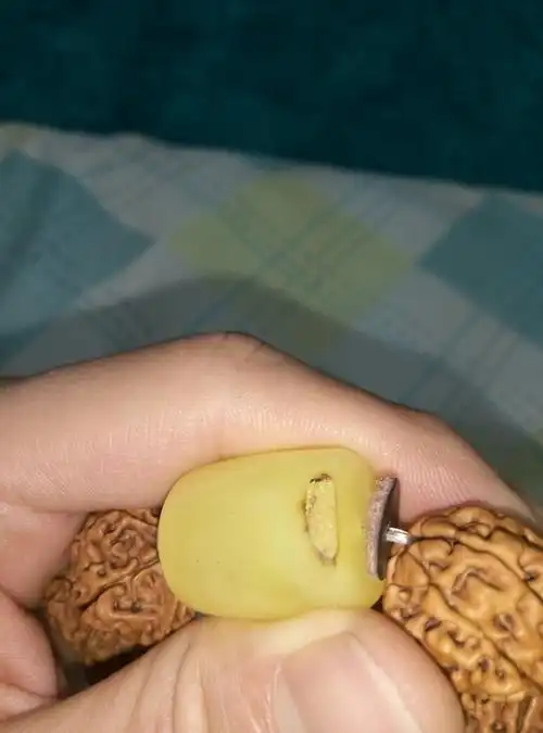 这块蜜蜡么 第一张是我用火烧的 有香味 但不知道是不是松香味 烤的