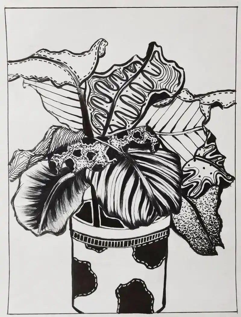 装饰图案 单独纹样「植物」 写生植物装饰图案 单独纹样 原创作品仅供