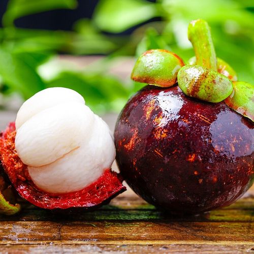 泰国山竹 口味清甜甘香  汁水充盈 润滑可口 老树结果应季当季水果