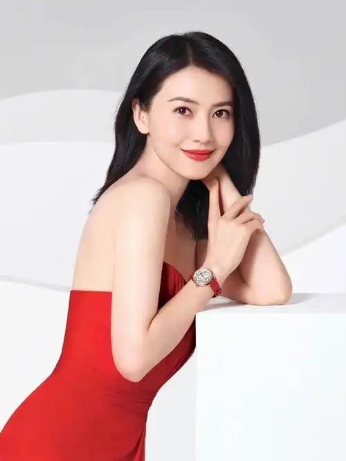 高圆圆经纪人 | 高圆圆品牌代言人