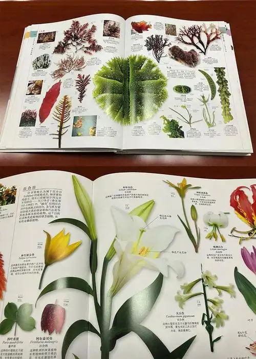 新版抽赠植物大百科dk博物大百科全书中文版精装珍藏版dk儿童动物大