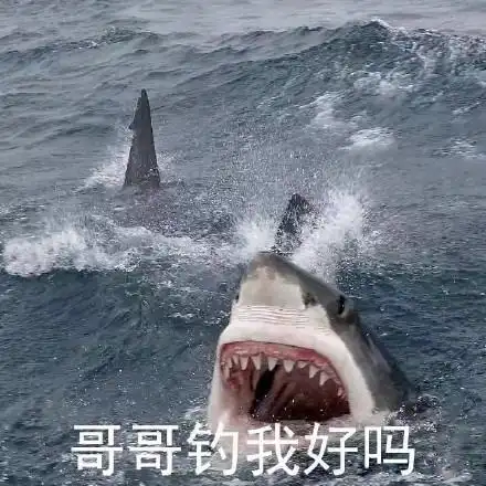 我可以聊天表情搞笑图片表情