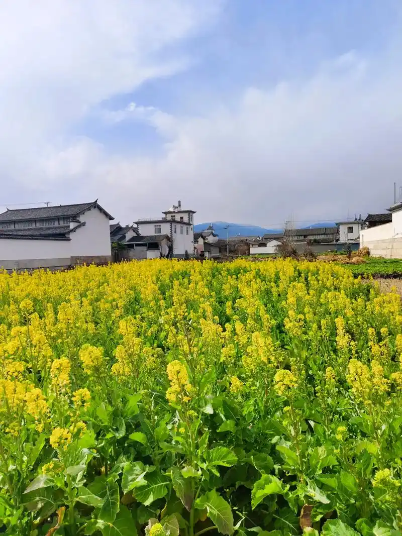 我喜欢田间地头的风景,有童年美好的回忆,如果有一天你累了,就来农村