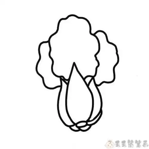 小白菜简笔画图片