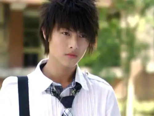 棒棒堂中的王子的刘海叫什么发型?