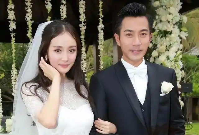 刘恺威和杨幂最近有什么消息(再看刘恺威和杨幂的现状)(11)