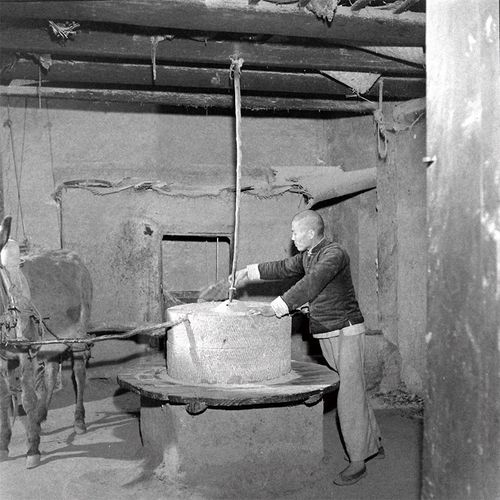 全国各地农村农家农民黑白照种田纺纱驴拉磨放羊等怀旧老照片素材