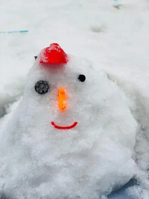 我们的小雪人朋友 哈哈.可爱吧.